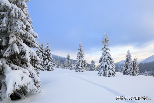 雪字飞花令1000句,雪飞花令诗词
