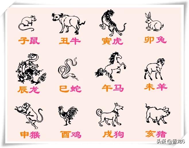 十二生肖知识排行榜,十二生肖排名完整版