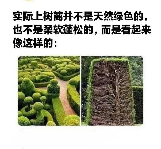 很搞笑的图片和故事,每天都要洗衣服的搞笑图片