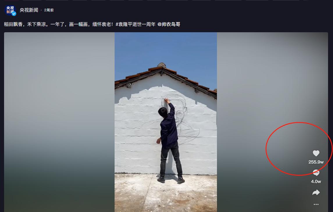 网红帅农鸟哥视频,黑马帅农鸟哥是如何走红的