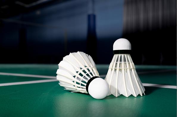 无为羽绒羽毛产业园2021,无为市羽毛羽绒行业协会