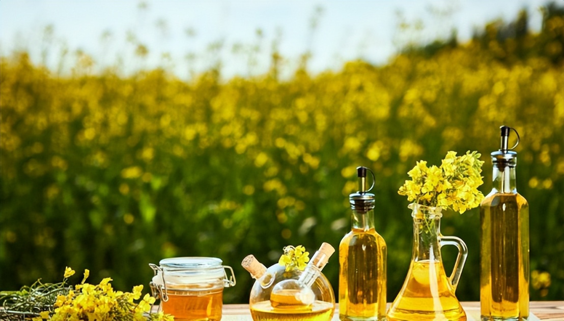 菜籽油为啥称之为劣质食用油,菜籽油含什么