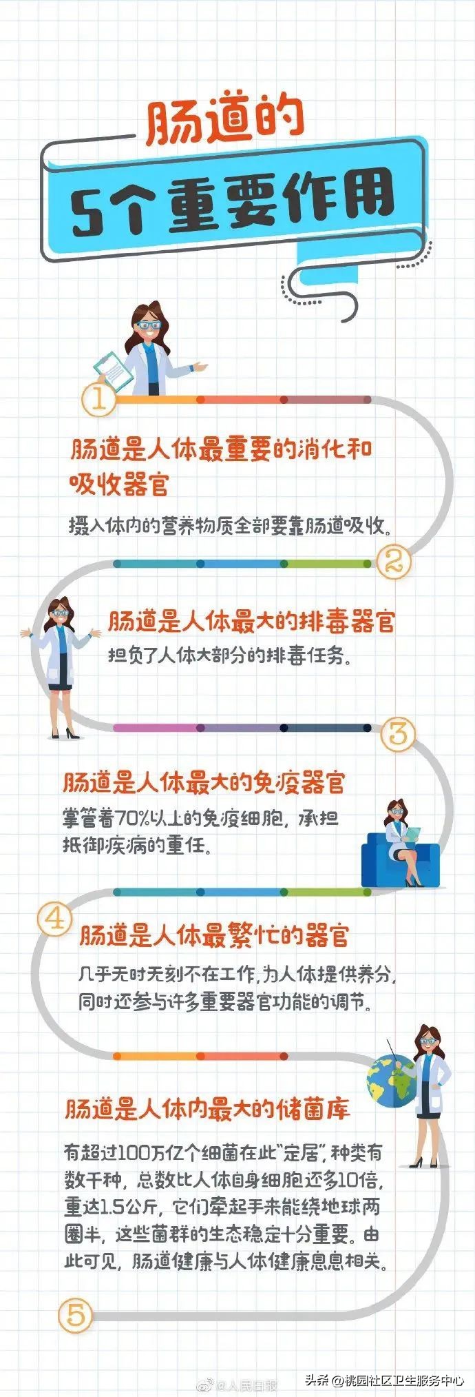 肠道健康日便秘,肠道紊乱便秘怎么调理