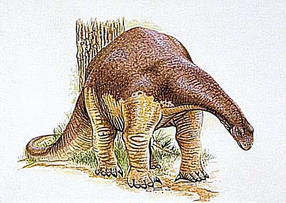 泰坦巨龙图片从哪来的,泰坦巨龙恐龙图片和简介