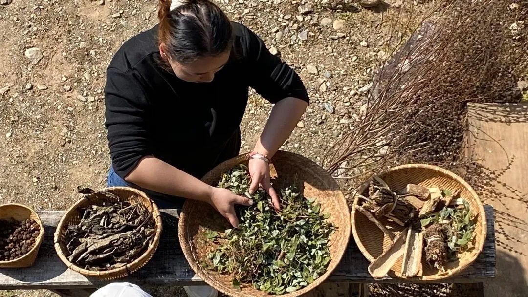 傣医药非遗文化,乐享云南非遗大理白族民居彩绘