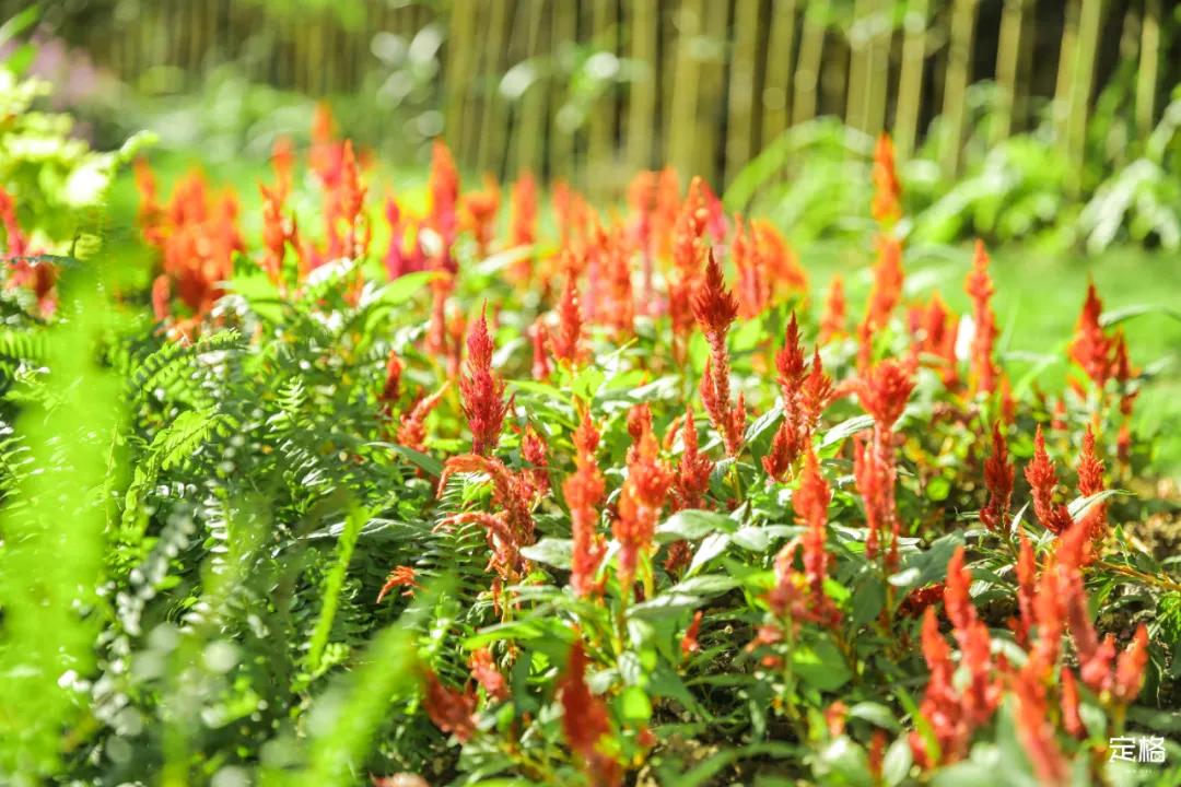 深圳百米长「纯白登山梯」，打卡绝了