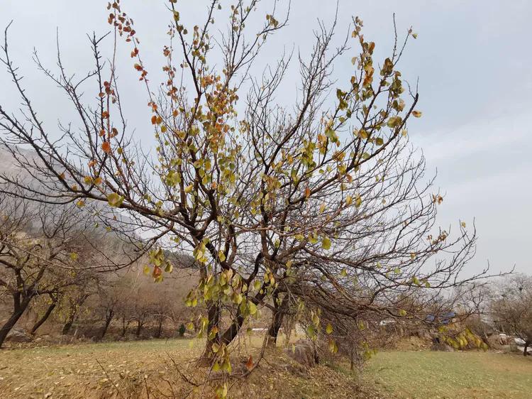 绝壁大梯白云寺,徒步白云寺