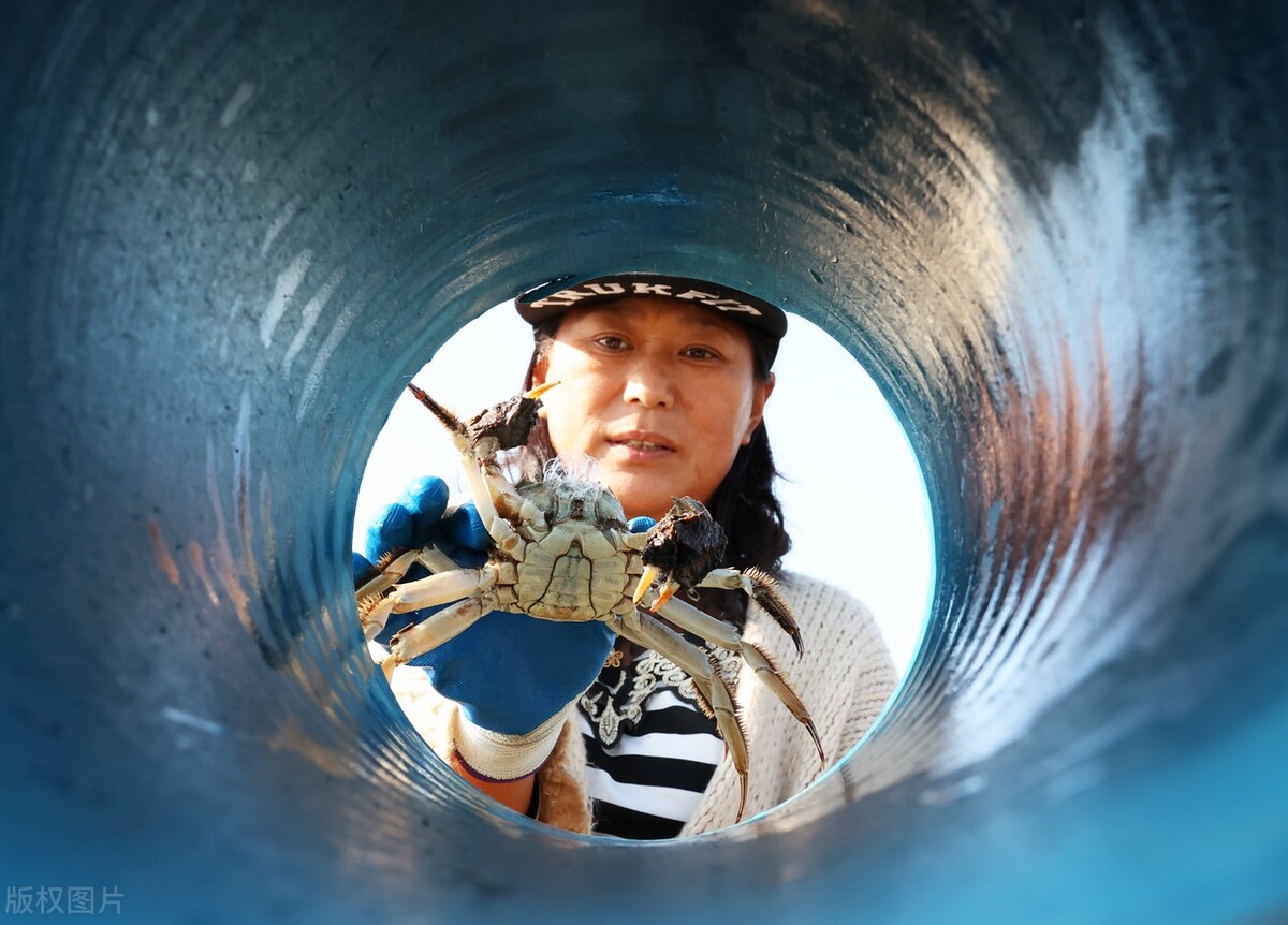 螃蟹吐泡泡是什么症状,螃蟹吐泡泡说明什么