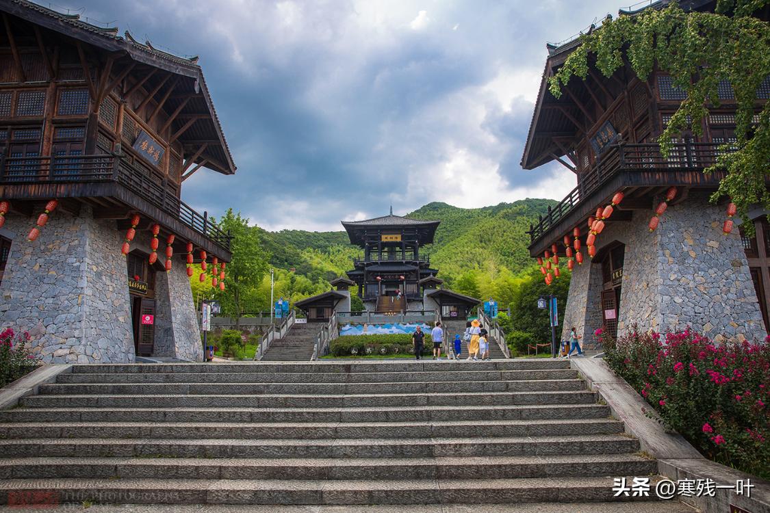 我国历史上出现最早的茶,中国排名第一的茶是什么茶