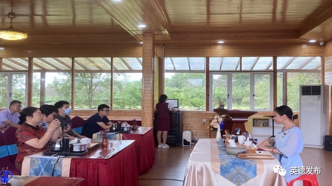 英红镇最新项目,英红镇的发展