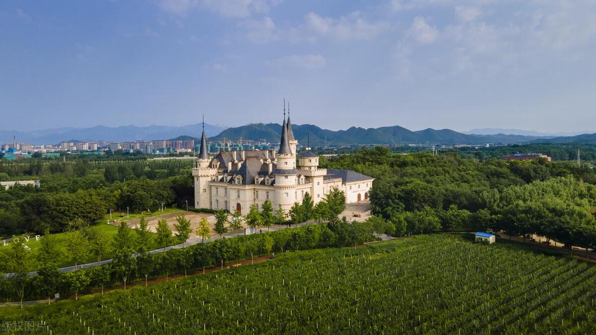 中国最好的葡萄酒产地是贺兰山吗,中国十大葡萄酒品牌和产地是哪里