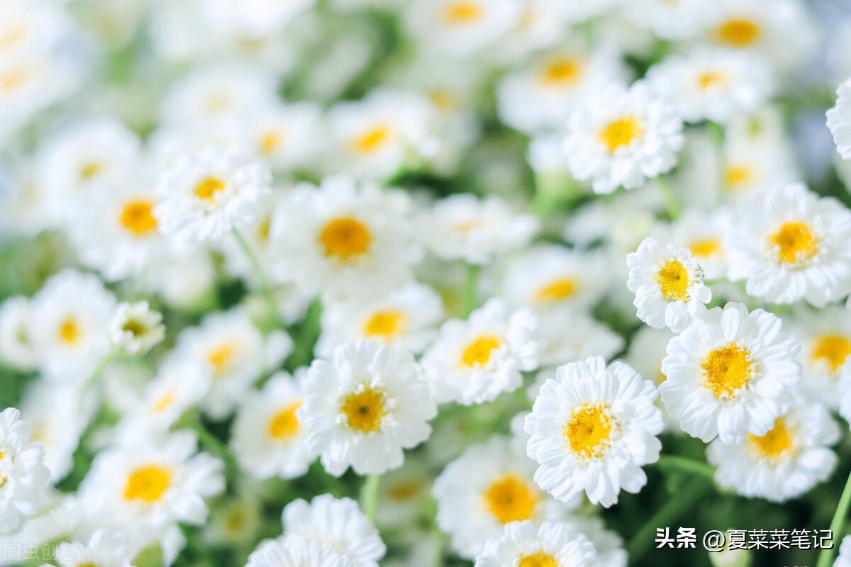 自媒体怎么一个月赚1000,自媒体怎么做到一月挣一万