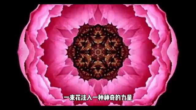 阳光像美丽的麻花辫缠着游子的身体石头开花一地纯真的童年