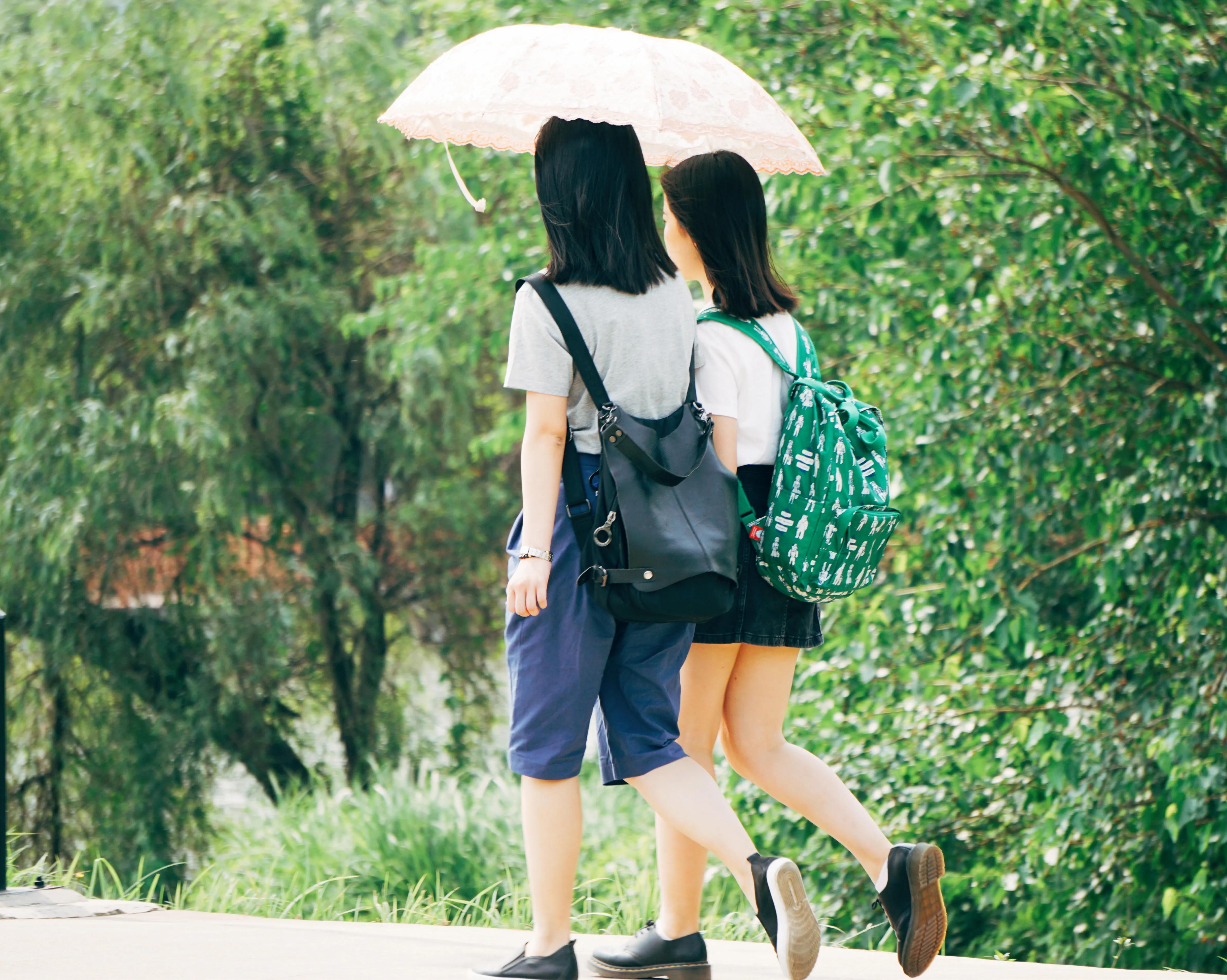 武汉大学中南财经政法大学,武汉中南财经政法大学乌合之众