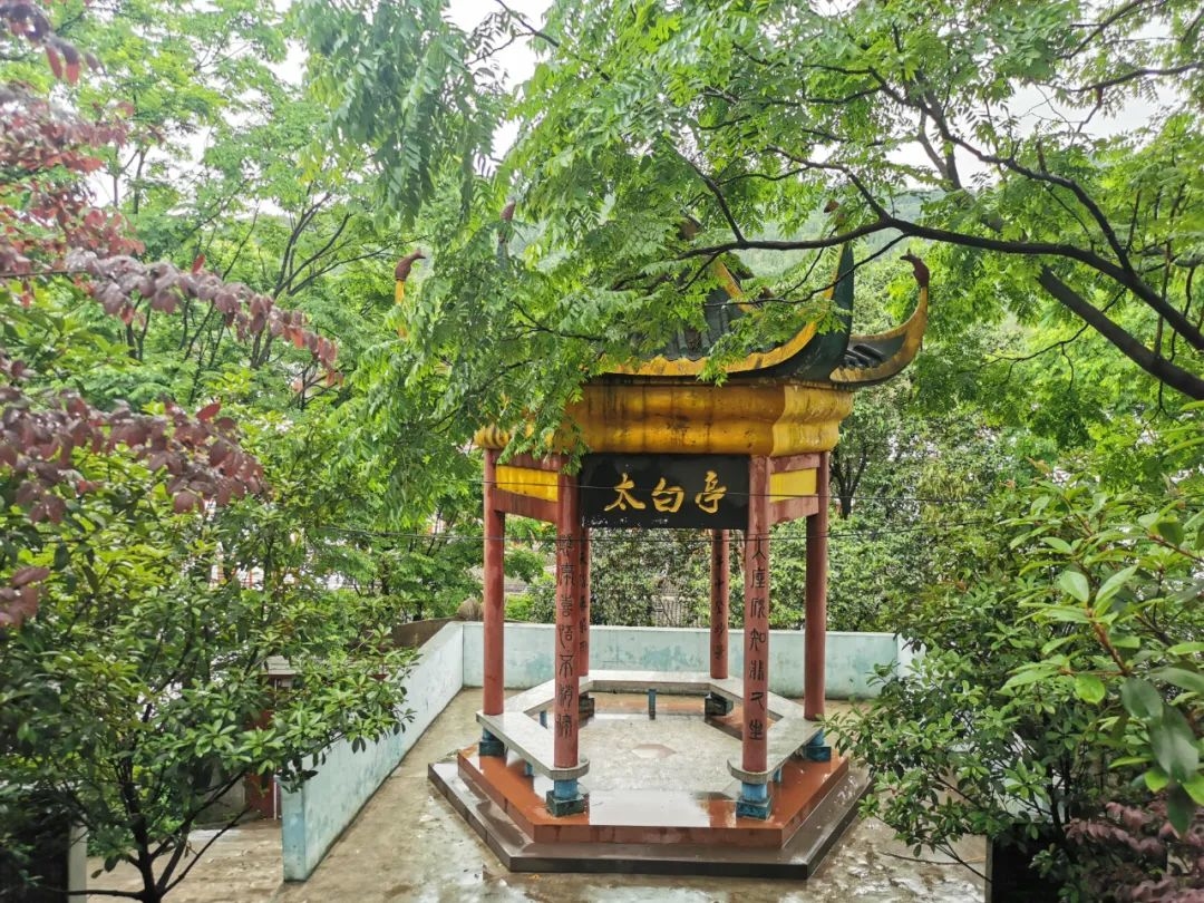 百年老校焕新颜,百年老校换新颜固阳新城小学