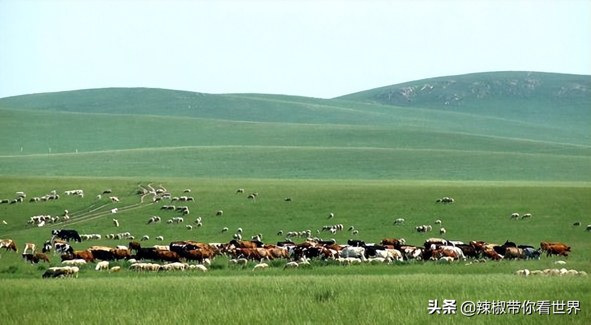 壮美内蒙古鄂尔多斯,内蒙古鄂尔多斯风景