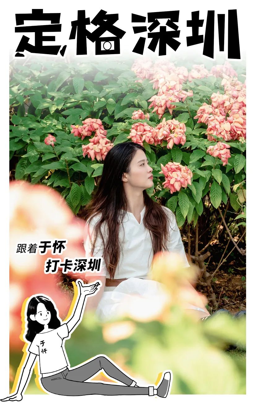 深圳湾流花山花海,深圳蝴蝶谷花海图片