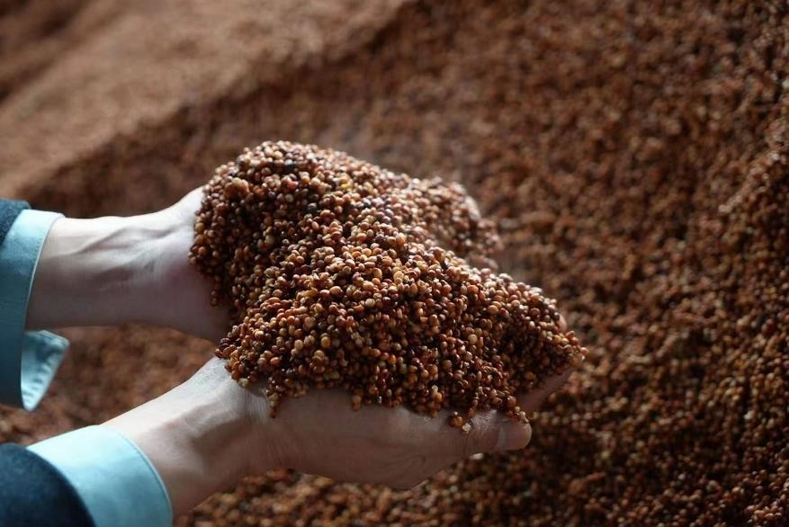 牛栏山白酒百年,牛栏山白酒为什么后劲这么大