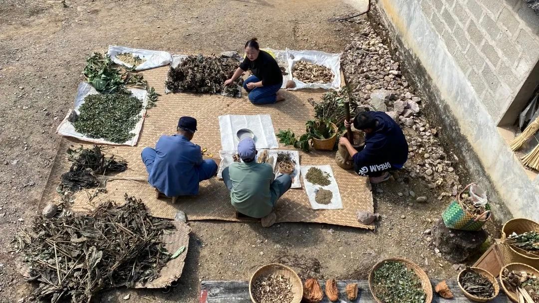 傣医药非遗文化,乐享云南非遗大理白族民居彩绘