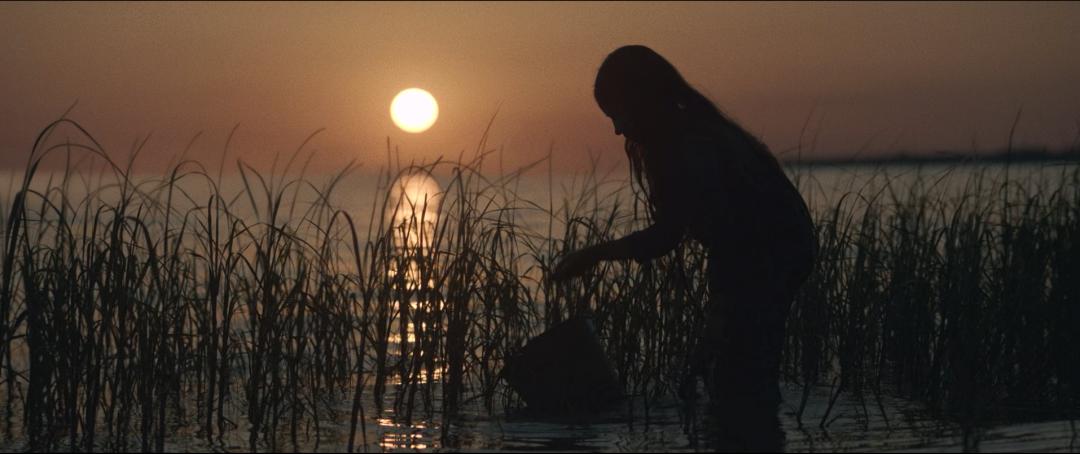 全球票房突破十亿美元最快的电影,评分9.1全球票房近10亿