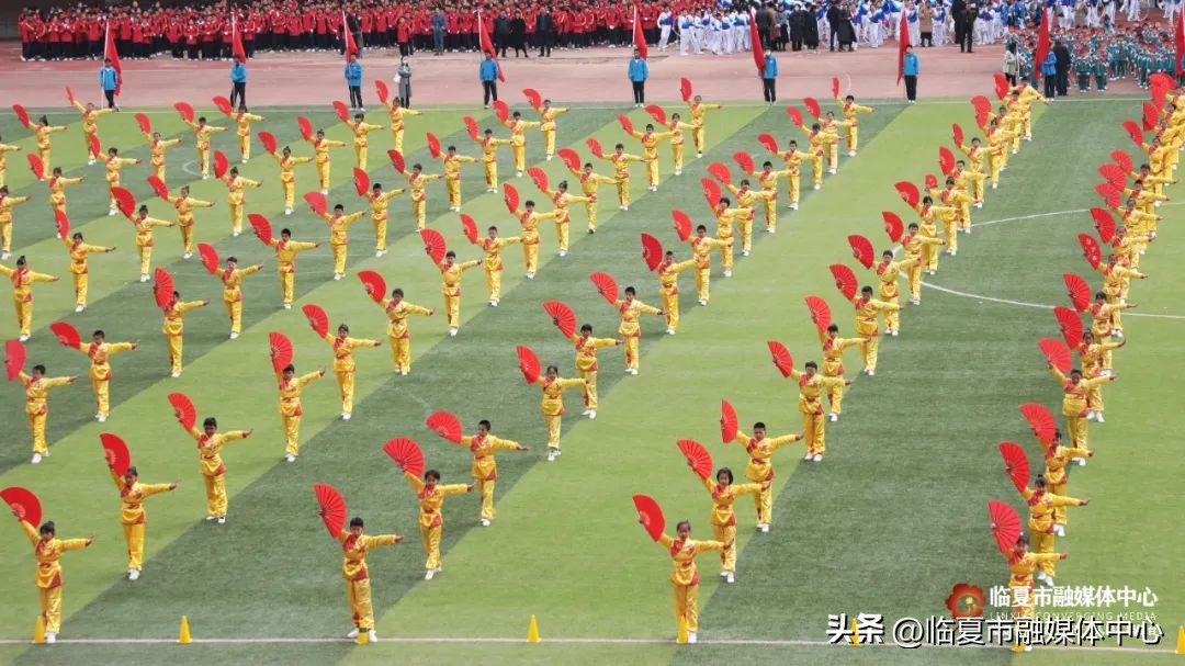 临夏牡丹杯小学篮球比赛,甘肃省临夏市牡丹杯篮球联赛