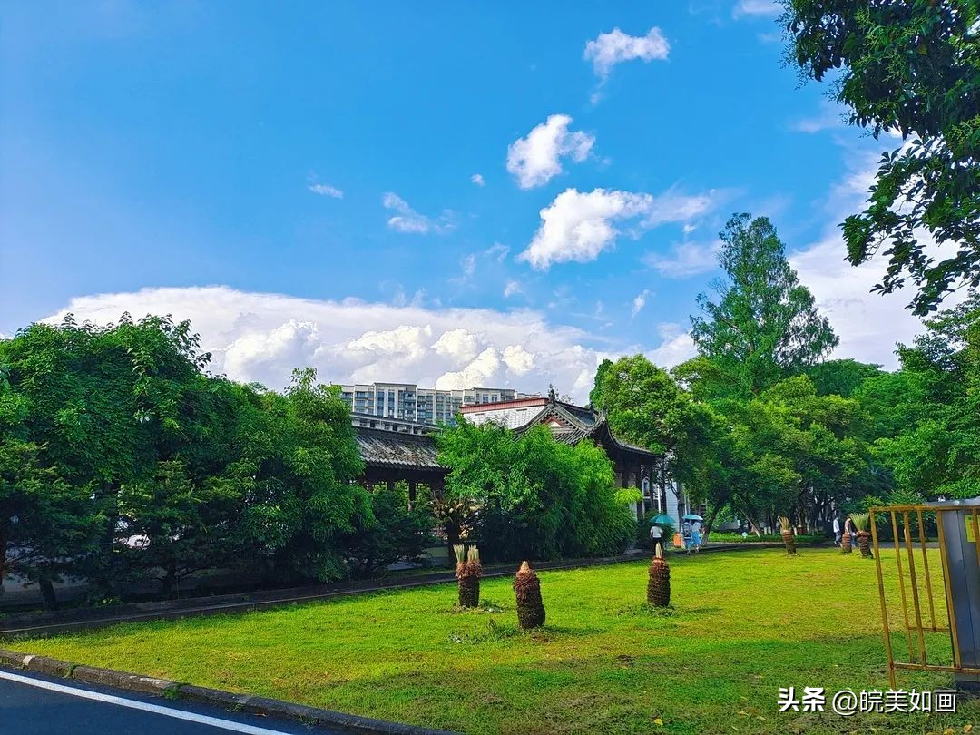 安徽大学好看的风景,高校最美秋景