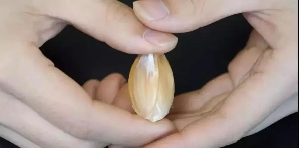 剥完蒜手辣怎么办,剥蒜伤指甲小妙招