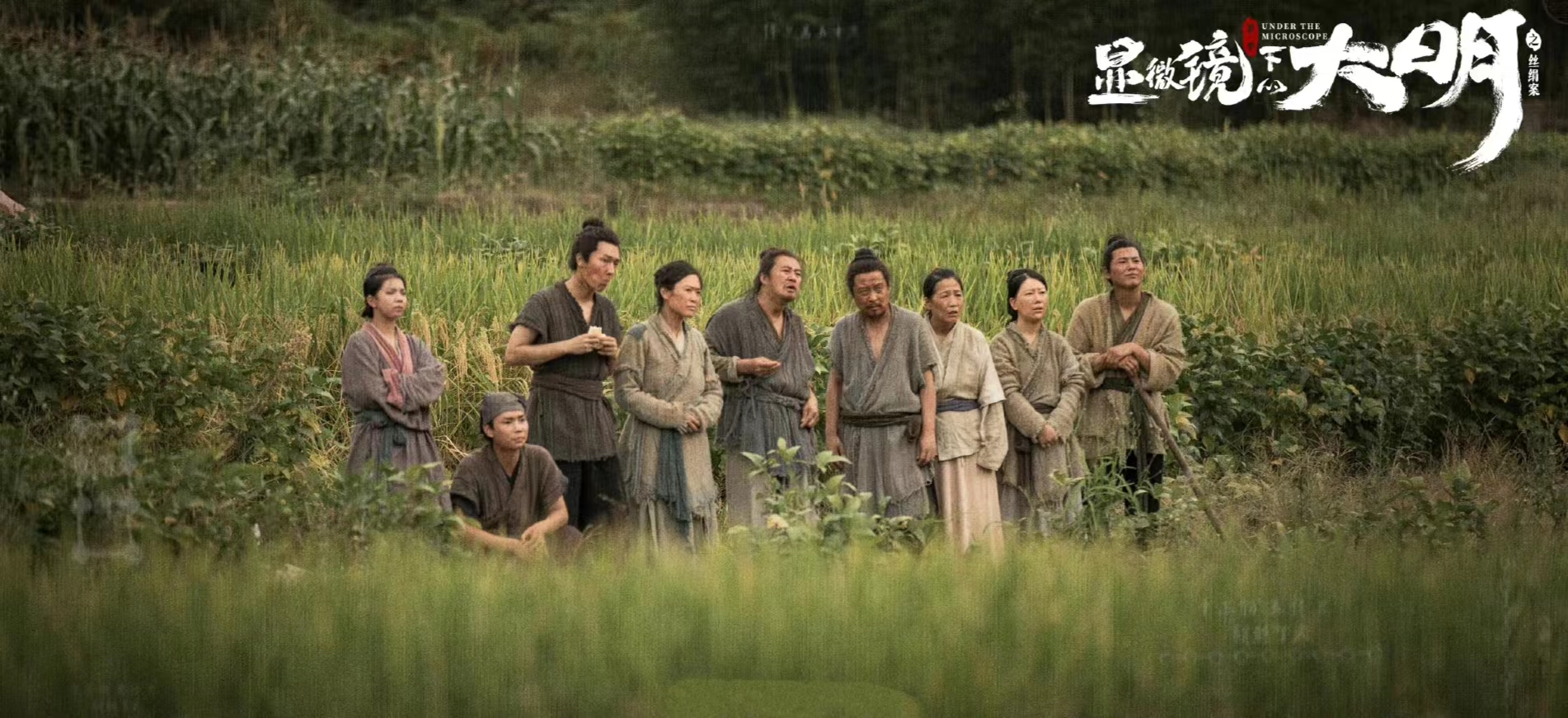 一口气看完显微镜下的大明第一集,显微镜下的大明结局帅家默去哪了