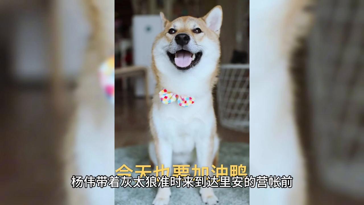 一刀两断完整版小说,一刀两断小说全文阅读