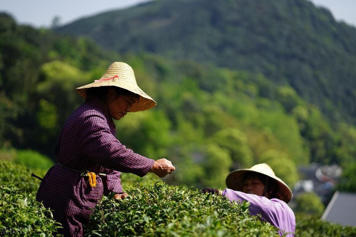杭州历史文化和城市风貌,杭州历史文化名城图片