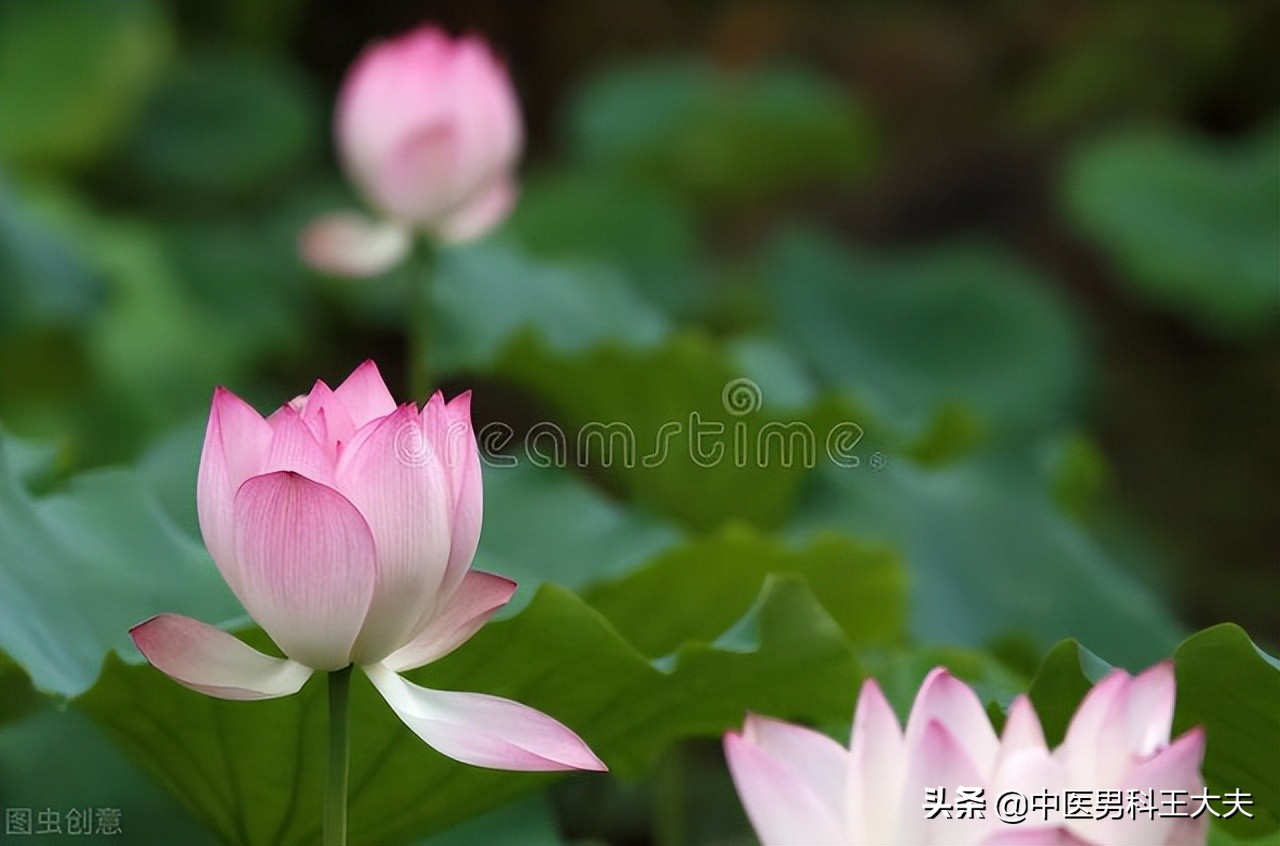 男人战斗力下降是什么原因,男人能力下降的表现