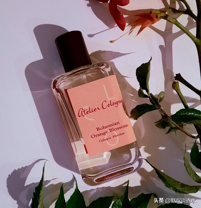 欧珑波西米亚花橙,欧珑波西米亚橙花持久吗