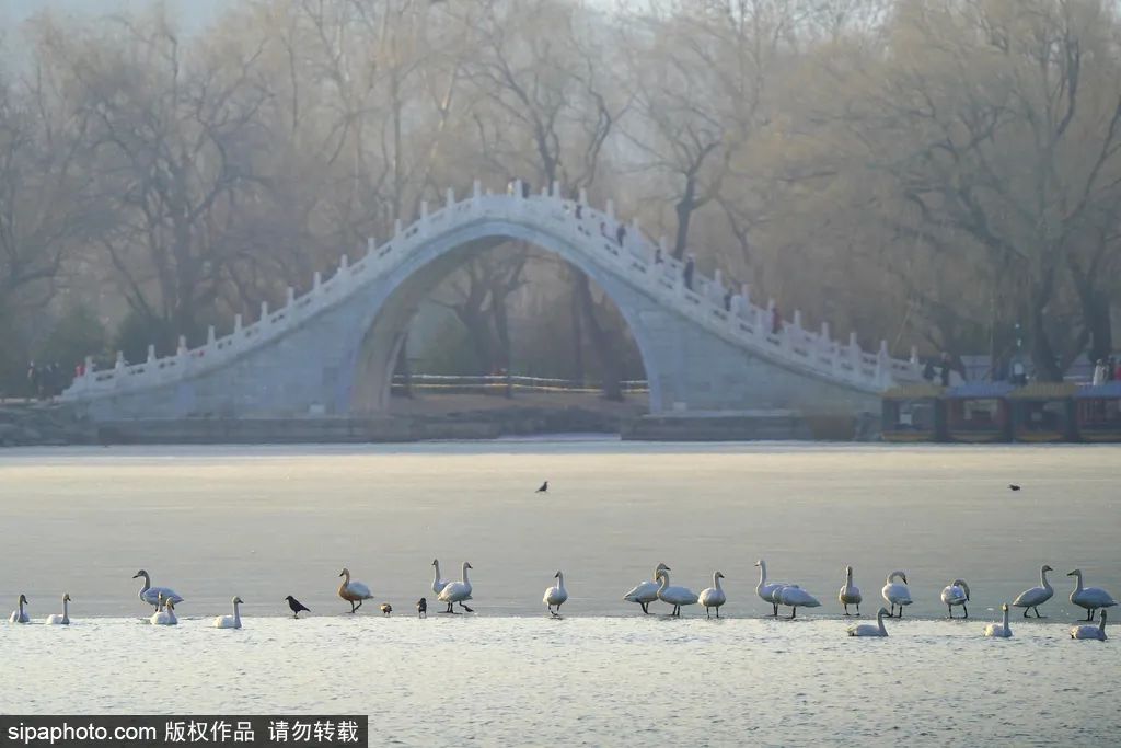 冬天颐和园昆明湖全景,观赏颐和园昆明湖