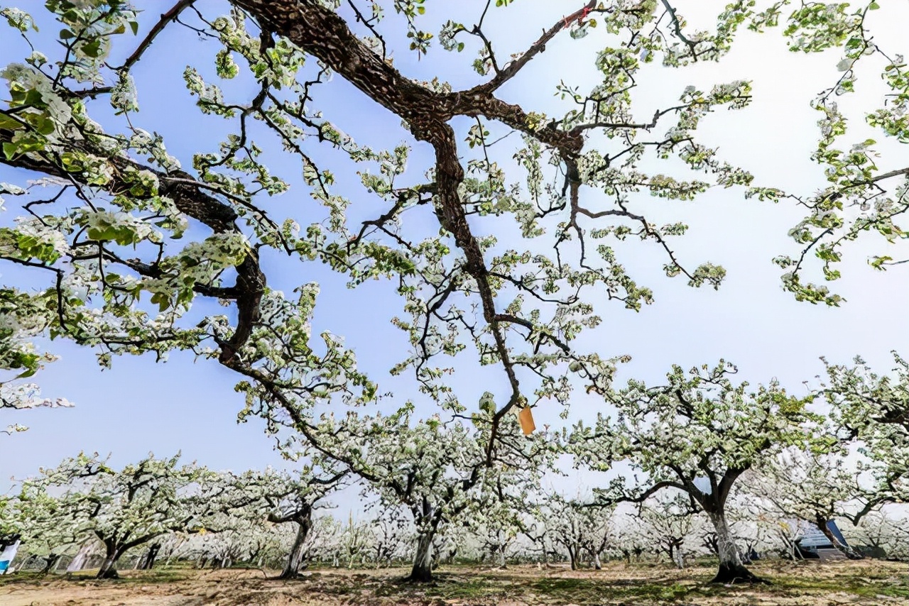 不负春光解锁春日美景打卡点,不负春光解锁春日美景攻略