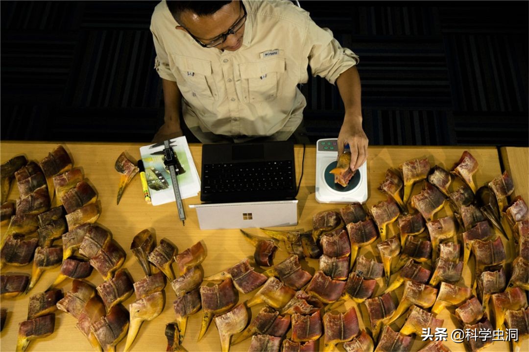 天津女子购买吊坠最终判决,天津女子购买项链吊坠获刑10年