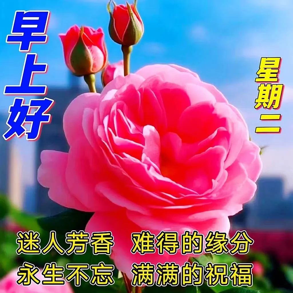 早安经典语录语句图片,早安经典语录及图片