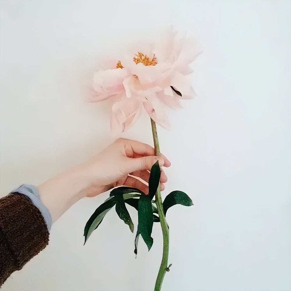 一个男人不找你你还要主动找他吗,男人不联系你也不拉黑你怎么回事