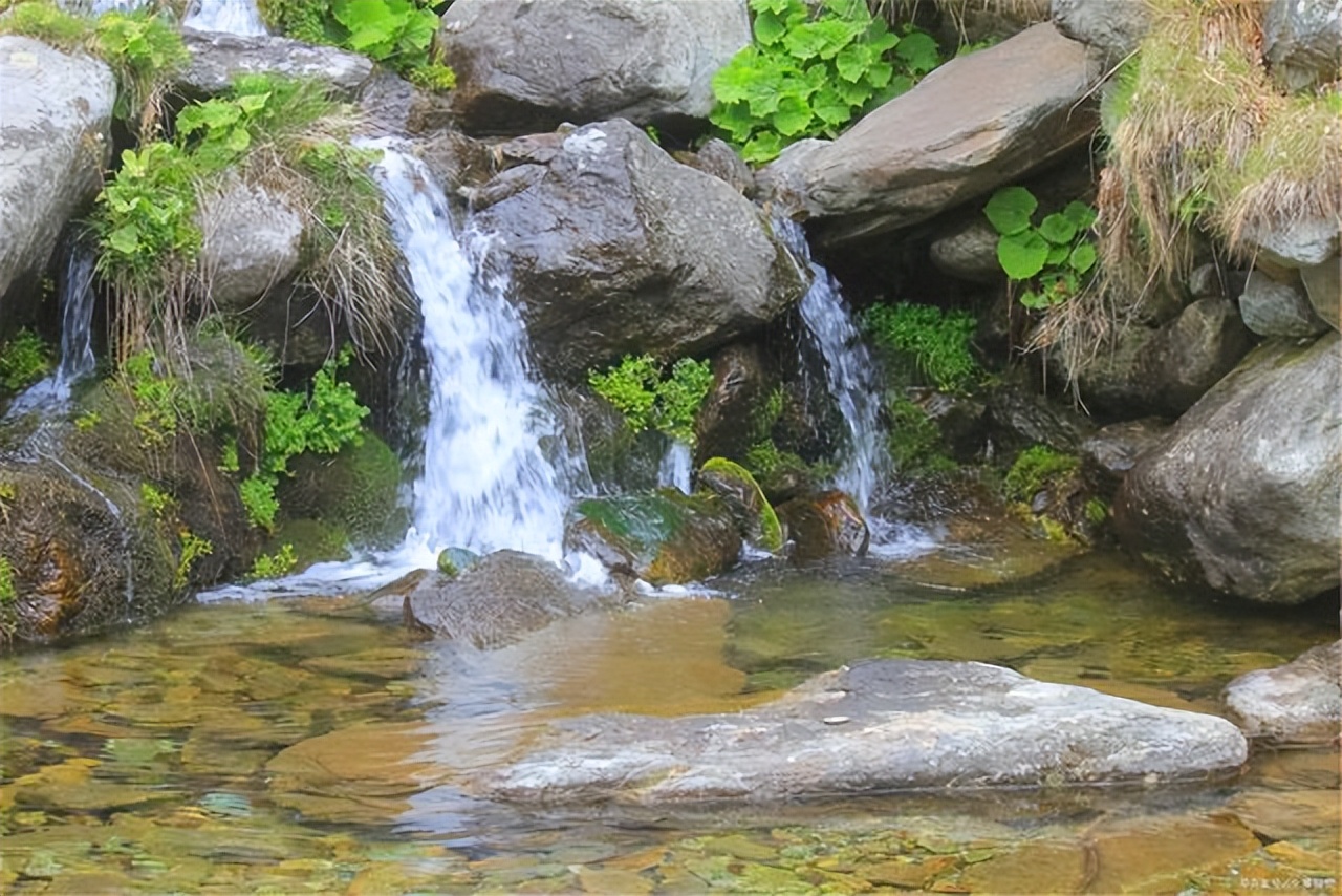 疫情早安心语正能量励志,销售励志早安心语正能量句子