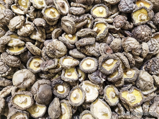 食用农产品市场管理办法,食用农产品管理新规发布