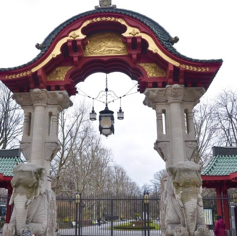 为什么加拿大养不起大熊猫,加拿大养不起熊猫