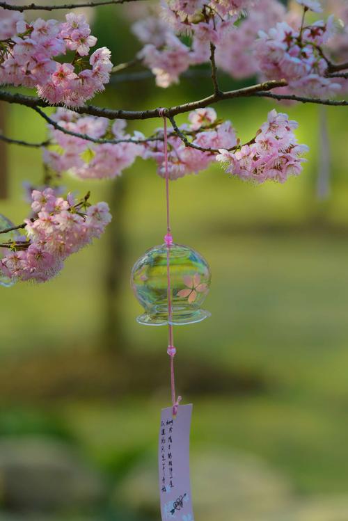 心怀感恩所遇皆美好散文,万事可期万物可亲