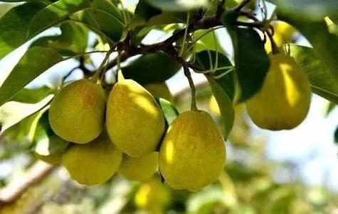 供应链行业观察,供应链视角分析