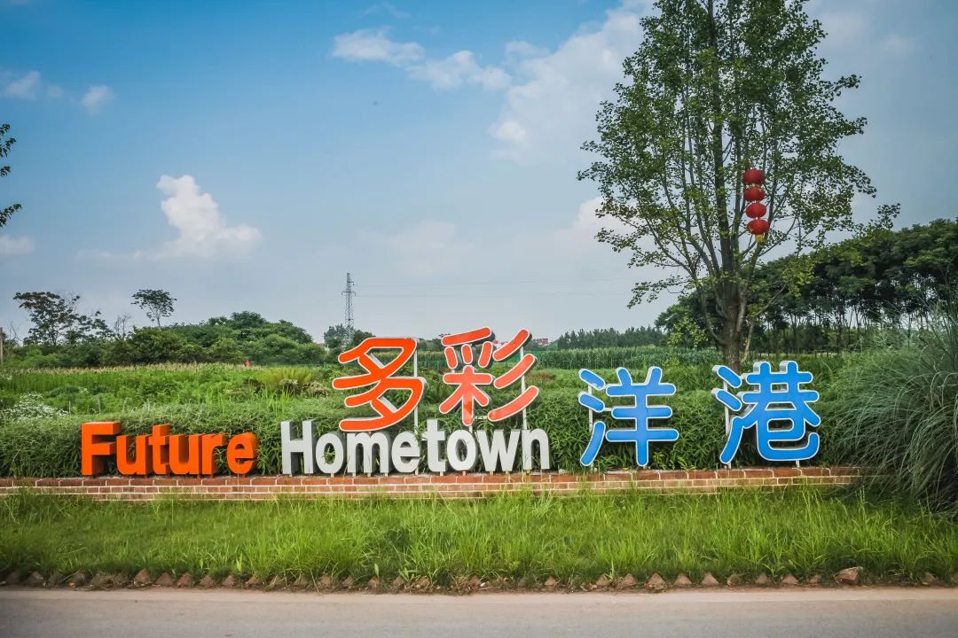 稻梦空间乡村生态观光园,稻梦空间采摘园