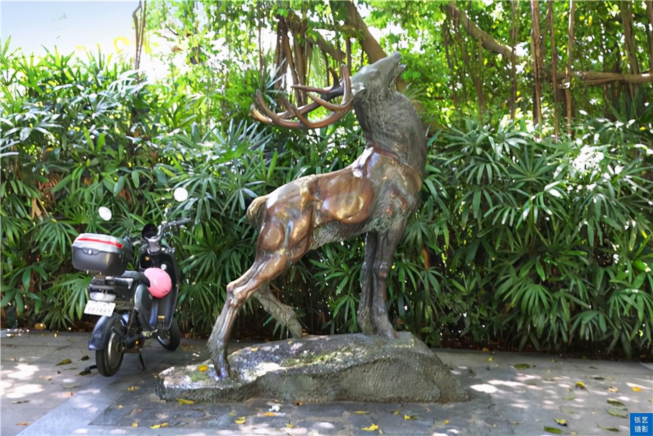 广州风景好又安静的地方推荐,广州最幽静的景点