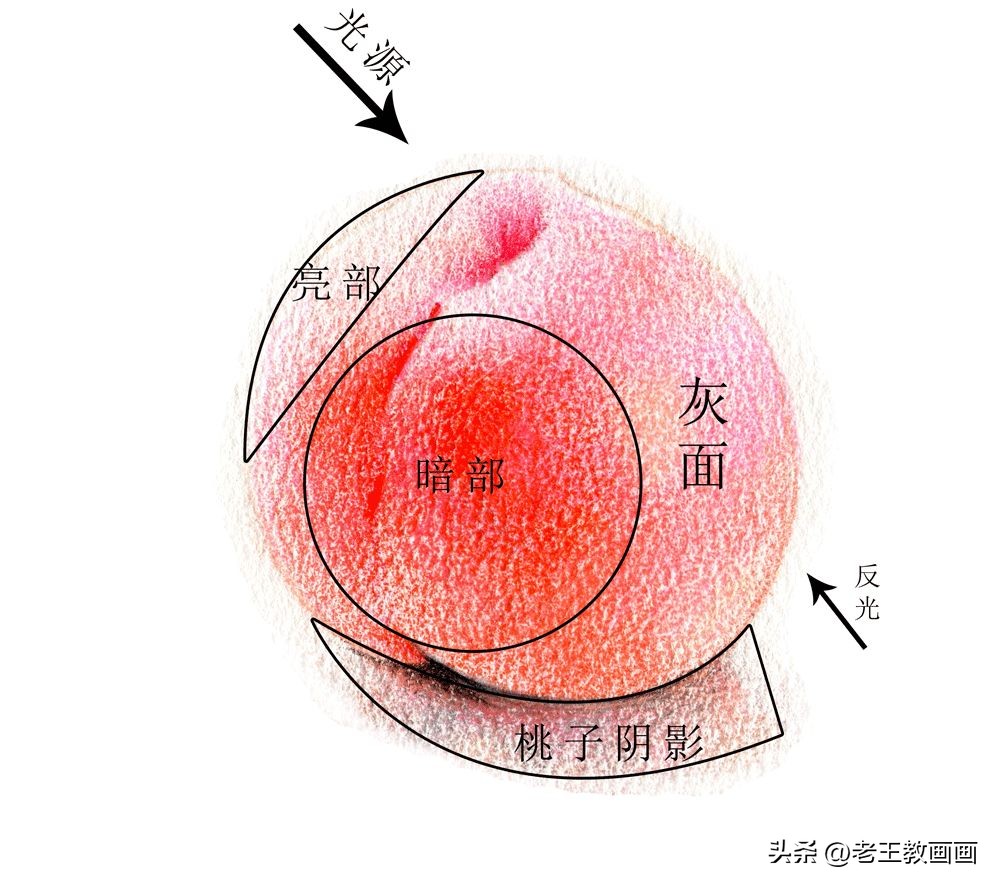 国画怎么样画桃子视频,画简单的桃子