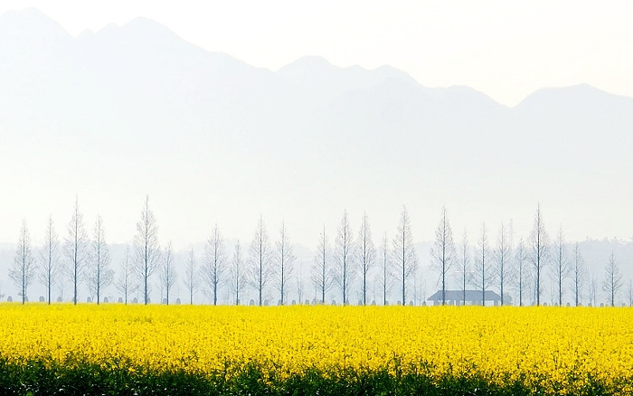 十年前写给自己的日记,20年前写给小孩的信