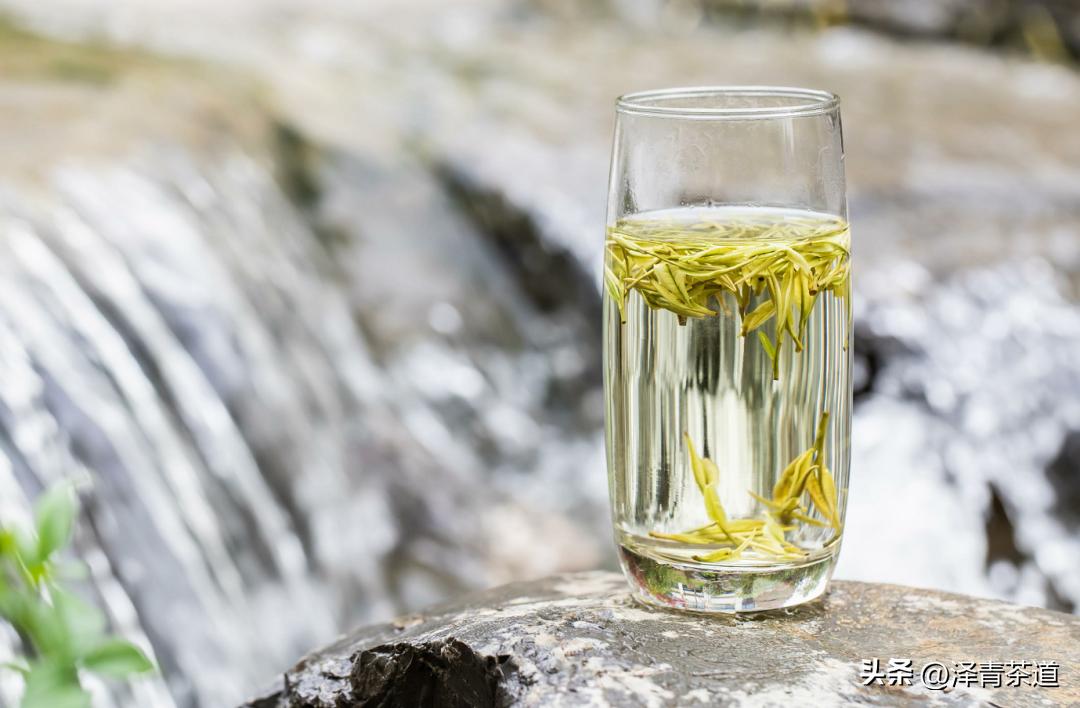 十大名茶是指哪十大,中国十大名茶最新排行建议收藏