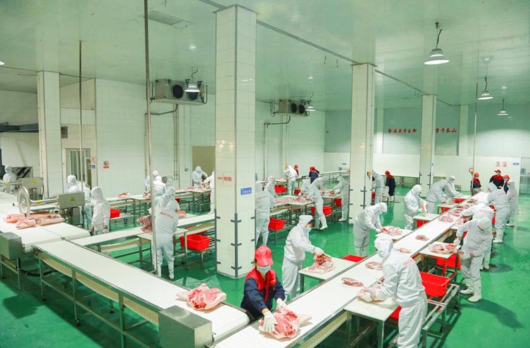 发布会丨从土特产到好食品：重庆出台“黄金十条政策”，打造食品及农产品加工全产业生态