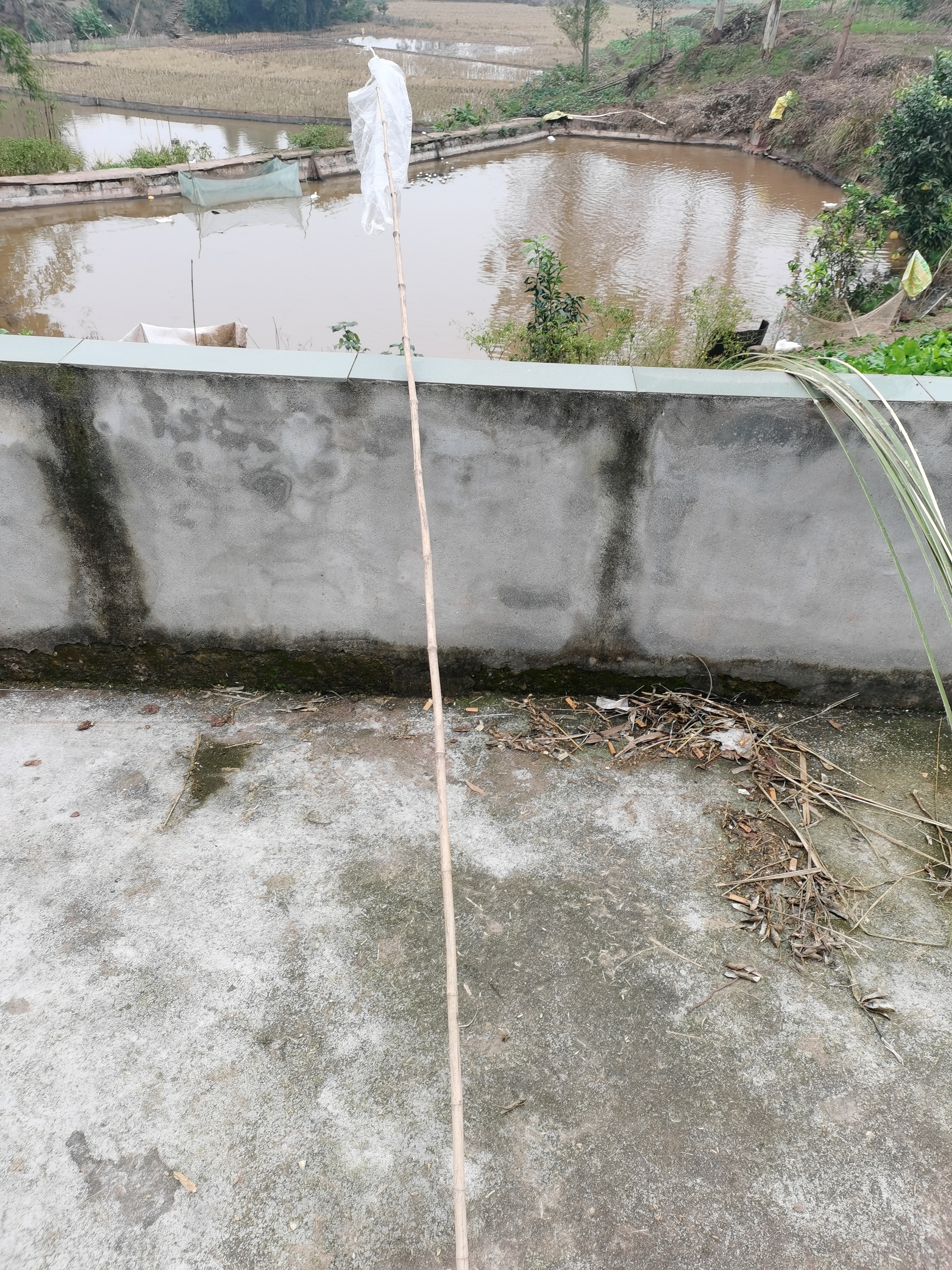 这些农具和老物件你认识多少,认识常用的农具