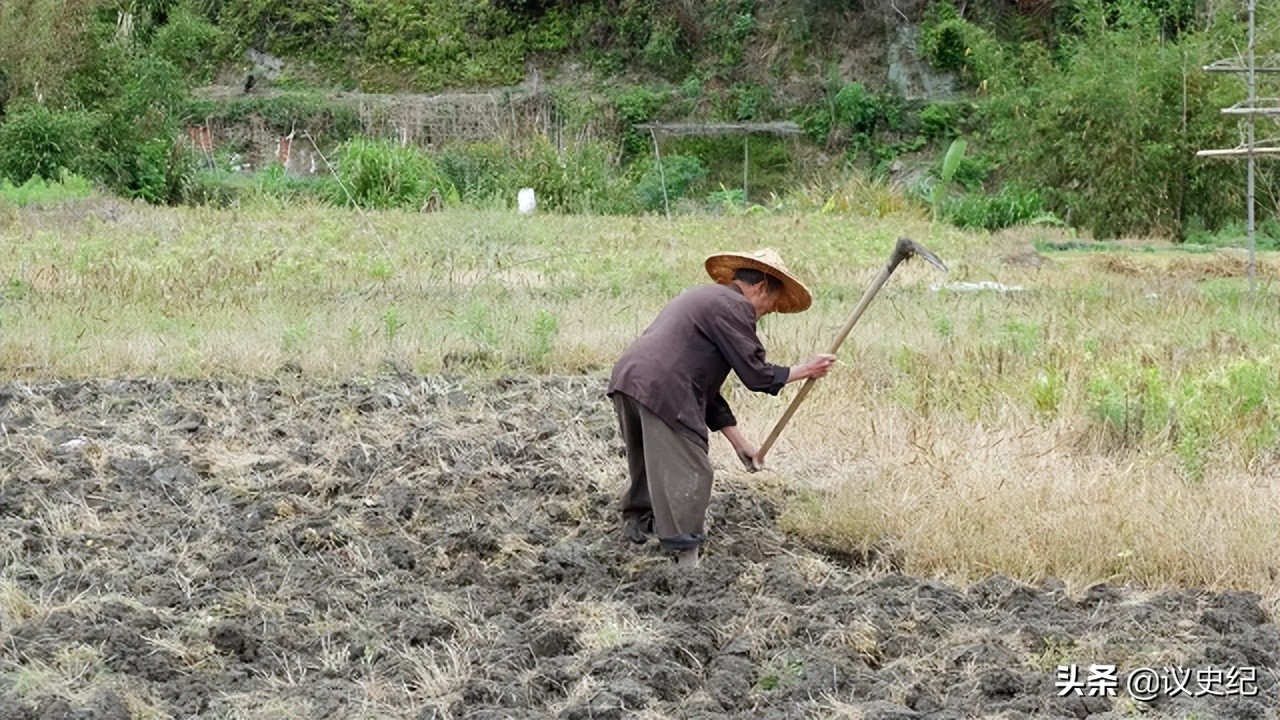 没钱交学费不发毕业证，医科大学生流浪16年患重病，母亲精神失常